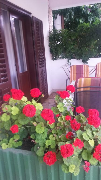 Soric Rovinj